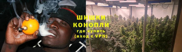 СК Корсаков