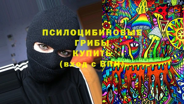 гидра Кукмор
