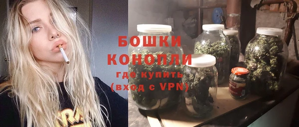 прущие грибы Краснослободск