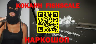 стаф Брянск