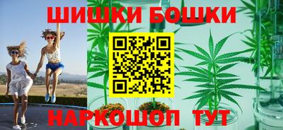 стаф Брянск