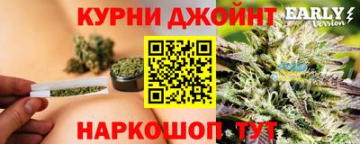стаф Брянск
