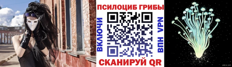 Псилоцибиновые грибы Magic Shrooms  darknet формула  Кинешма  купить наркотик 