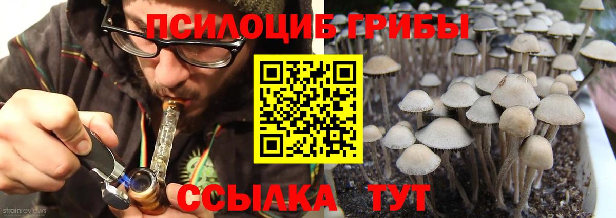 Кинешма  Псилоцибиновые грибы Magic Shrooms  Вход с VPN  Псилоцибиновые грибы Magic Shrooms 